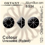 Oktant™ Premium チャトン (123) SS24 - カラー 裏面ゴールドフォイル