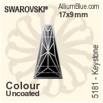 スワロフスキー Fine Rock Tube ビーズ (5951) 8mm - カラー&エフェクト