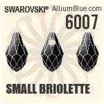 6007 - Small Briolette