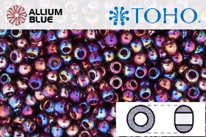 TOHO ラウンド Seed ビーズ (RR6-166C) 6/0 ラウンド Large - Transparent Rainbow Amethyst