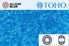TOHO ラウンド Seed ビーズ (RR6-3) 6/0 ラウンド Large - Transparent Aquamarine