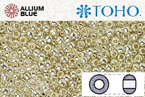 TOHO ラウンド Seed ビーズ (RR6-PF558) 6/0 ラウンド Large - PermaFinish - Galvanized Aluminum