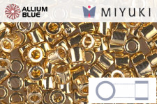 MIYUKI丸シードビーズ (RR6-0001) 6/0 特大ビーズ - クリスタル銀引（シルバー）